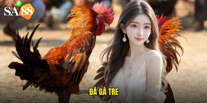 đá gà tre
