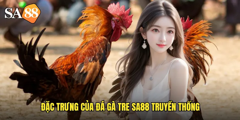 Đặc trưng của đá gà tre sa88 truyền thống