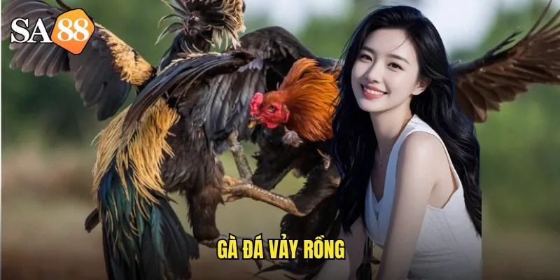 gà đá vảy rồng