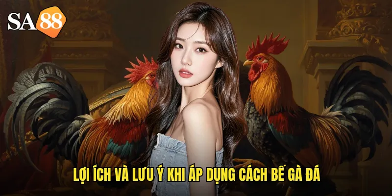 Lợi ích và lưu ý khi áp dụng cách bế gà đá