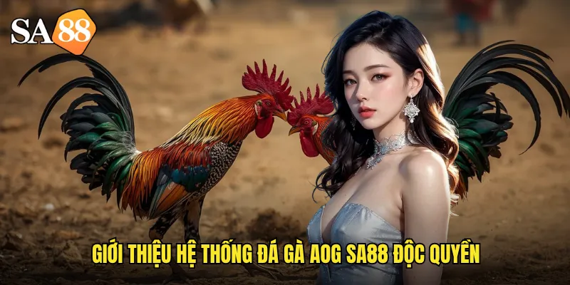 Giới thiệu hệ thống đá gà aog sa88 độc quyền