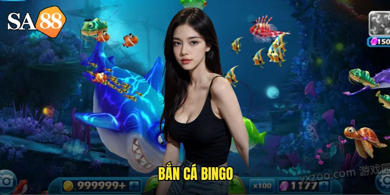 bắn cá bingo