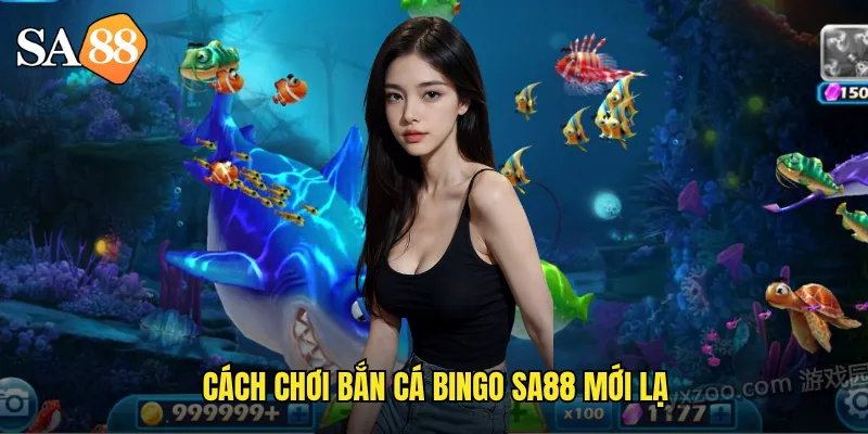 Cách chơi bắn cá bingo sa88 mới lạ