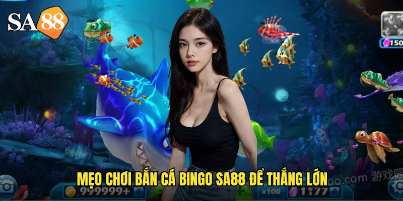 Mẹo chơi bắn cá bingo sa88 để thắng lớn